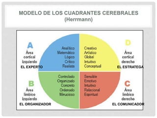 EL EXPERTO EL ESTRATEGA
EL ORGANIZADOR EL COMUNICADOR
 