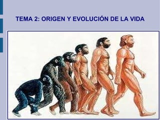 TEMA 2: ORIGEN Y EVOLUCIÓN DE LA VIDA 