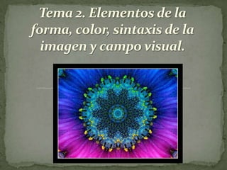 Tema 2. Elementos de la forma, color, sintaxis de la imagen y campo visual. 