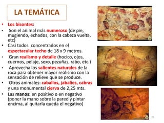 LA TEMÁTICA
• Los bisontes:
• Son el animal más numeroso (de pie,
mugiendo, echados, con la cabeza vuelta,
etc)
• Casi todos concentrados en el
espectacular techo de 18 x 9 metros.
• Gran realismo y detalle (hocico, ojos,
cuernos, pelaje, sexo, pezuñas, rabo, etc.)
• Aprovecha los salientes naturales de la
roca para obtener mayor realismo con la
sensación de relieve que se produce.
• Otros animales: caballos, jabalíes, cabras
y una monumental cierva de 2,25 mts.
• Las manos: en positivo o en negativo
(poner la mano sobre la pared y pintar
encima, al quitarla queda el negativo)
25
 