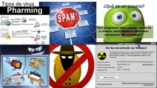 Tipos de virus.
 