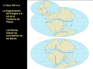 Tema 2. tectonica placas. 4º eso