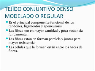 TEJIDO CONJUNTIVO DENSO
MODELADO O REGULAR
Es el principal componente funcional de los
tendones, ligamentos y aponeurosis.
Las fibras son en mayor cantidad y poca sustancia
fundamental.
Las fibras están en forman paralela y juntas para
mayor resistencia.
Las células que la forman están entre los haces de
fibras.
 