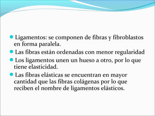 Ligamentos: se componen de fibras y fibroblastos
en forma paralela.
Las fibras están ordenadas con menor regularidad
Los ligamentos unen un hueso a otro, por lo que
tiene elasticidad.
Las fibras elásticas se encuentran en mayor
cantidad que las fibras colágenas por lo que
reciben el nombre de ligamentos elásticos.
 