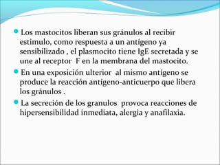 Los mastocitos liberan sus gránulos al recibir
estimulo, como respuesta a un antígeno ya
sensibilizado , el plasmocito tiene IgE secretada y se
une al receptor F en la membrana del mastocito.
En una exposición ulterior al mismo antígeno se
produce la reacción antígeno-anticuerpo que libera
los gránulos .
La secreción de los granulos provoca reacciones de
hipersensibilidad inmediata, alergia y anafilaxia.
 