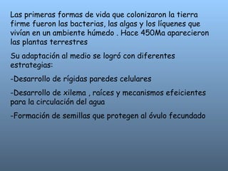 Las primeras formas de vida que colonizaron la tierra
firme fueron las bacterias, las algas y los líquenes que
vivían en un ambiente húmedo . Hace 450Ma aparecieron
las plantas terrestres
Su adaptación al medio se logró con diferentes
estrategias:
-Desarrollo de rígidas paredes celulares
-Desarrollo de xilema , raíces y mecanismos efeicientes
para la circulación del agua
-Formación de semillas que protegen al óvulo fecundado
 