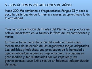 5.- LOS ÚLTIMOS 250 MILLONES DE AÑOS:
Hace 200 Ma comienza a fragmentarse Pangea II y poco a
poco la distribución de la tierra y mares se aproxima a la de
la actualidad
Tras la gran extinción de finales del Pérmico, se produce un
relevo importante en la fauna y la flora de los continentes y
mares.
En tierra firme, la arificación del medio actuará como
mecanismo de selección de los organismos mejor adaptados.
Los anfibios y helechos, que precisaban de la humedad o
agua en abundancia para su reproducción,  sucumben en
gran medida y son sustituidos por los reptiles y las
gimnospermas, cuyo éxito reside en haberse independizado
del agua.
 