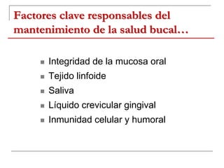 Factores clave responsables del
mantenimiento de la salud bucal…
 Integridad de la mucosa oral
 Tejido linfoide
 Saliva
 Líquido crevicular gingival
 Inmunidad celular y humoral
 
