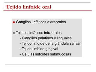 ■ Ganglios linfáticos extraorales
■ Tejidos linfáticos intraorales
- Ganglios palatinos y linguales
- Tejido linfoide de la glándula salivar
- Tejido linfoide gingival
- Células linfoides submucosas
Tejido linfoide oral
 