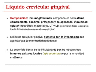 Líquido crevicular gingival
 Composición: Inmunoglobulinas, componentes del sistema
complemento, lisozima, proteasas y colagenasas, inmunidad
celular (neutrófilos, macrófagos, LT y LB, que migran desde la sangre a
través del epitelio de unión en el surco gingival)
 El líquido crevicular gingival aumenta con la inflamación que
acompaña a la enfermedad periodontal
 La superficie dental se ve influida tanto por los mecanismos
inmunes salivales locales (IgA secretora) y por la inmunidad
sistémica
 