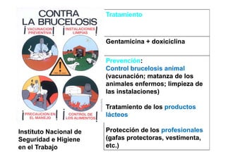 Tratamiento



                        Gentamicina + doxiciclina

                        Prevención:
                        Prevención:
                        Control brucelosis animal
                        (
                        (vacunación; matanza de los
                        animales enfermos; limpieza de
                        las instalaciones)

                        Tratamiento de los productos
                        lácteos

Instituto Nacional de   Protección de los profesionales
Seguridad e Higiene     (gafas protectoras, vestimenta,
en el Trabajo           etc.)
 