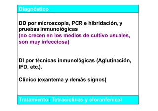 Diagnóstico

DD por microscopía, PCR e hibridación, y
pruebas inmunológicas
(no crecen en los medios de cultivo usuales,
son muy infecciosa)


DI por técnicas inmunológicas (Aglutinación,
IFD, etc.).

Clínico (exantema y demás signos)


Tratamiento:
Tratamiento: Tetraciclinas y cloranfenicol
 