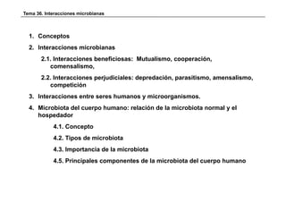 Tema 36. Interacciones microbianas



  1. Conceptos
  2. Interacciones microbianas
       2.1. Interacciones beneficiosas: Mutualismo, cooperación,
          comensalismo,
       2.2. Interacciones perjudiciales: depredación, parasitismo, amensalismo,
          competición
  3. Interacciones entre seres humanos y microorganismos.
  4. Microbiota del cuerpo humano: relación de la microbiota normal y el
     hospedador
            4.1. Concepto
            4.2. Tipos de microbiota
            4.3. Importancia de la microbiota
            4.5. Principales componentes de la microbiota del cuerpo humano
 