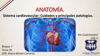ANATOMÍA.
Sistema cardiovascular: Cuidados y principales patologías.
Bloque 7
Tema 20.
LEN. Eliana Michel Carranza
6to Cuatrimestre
CO6 A
 