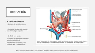 TEMA 20 ANATOMIA Y FISIOLOGIA DE GLANDULA TIROIDES Y PARATIROIDES 2020.pptx