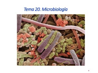 Tema 20. Microbiología
Biología 2º Bachillerato
Departamento de CC.NN
I.E.S. Gil y Carrasco
1
Ana Molina
 