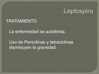 TRATAMIENTO
La enfermedad se autolimita.
Uso de Penicilinas y tetraciclinas
disminuyen la gravedad.
 