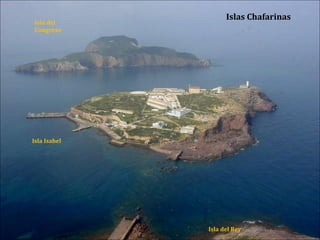 Islas Chafarinas
Isla del Rey
Isla Isabel
Isla del
Congreso
 