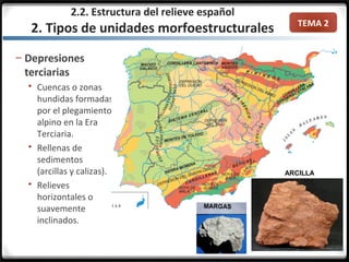 TEMA 2
– Depresiones
terciarias
 Cuencas o zonas
hundidas formadas
por el plegamiento
alpino en la Era
Terciaria.
 Rellenas de
sedimentos
(arcillas y calizas).
 Relieves
horizontales o
suavemente
inclinados.
ARCILLA
2.2. Estructura del relieve español
2. Tipos de unidades morfoestructurales
 