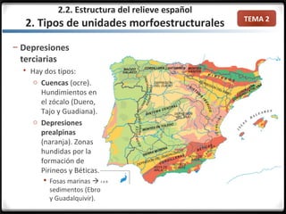 TEMA 2
– Depresiones
terciarias
 Hay dos tipos:
o Cuencas (ocre).
Hundimientos en
el zócalo (Duero,
Tajo y Guadiana).
o Depresiones
prealpinas
(naranja). Zonas
hundidas por la
formación de
Pirineos y Béticas.
 Fosas marinas 
sedimentos (Ebro
y Guadalquivir).
2.2. Estructura del relieve español
2. Tipos de unidades morfoestructurales
 