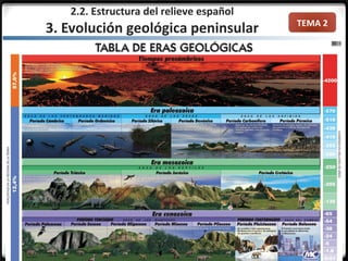 TEMA 2
2.2. Estructura del relieve español
3. Evolución geológica peninsular
 