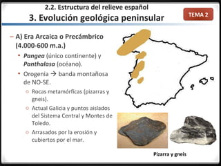 TEMA 2
– A) Era Arcaica o Precámbrico
(4.000-600 m.a.)
 Pangea (único continente) y
Panthalasa (océano).
 Orogenia  banda montañosa
de NO-SE.
o Rocas metamórficas (pizarras y
gneis).
o Actual Galicia y puntos aislados
del Sistema Central y Montes de
Toledo.
o Arrasados por la erosión y
cubiertos por el mar.
Pizarra y gneis
2.2. Estructura del relieve español
3. Evolución geológica peninsular
 