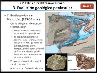 TEMA 2
– C) Era Secundaria o
Mesozoico (225-68 m.a.)
 Calma orogénica  erosión y
sedimentación.
o Arrasa el zócalo herciniano
reduciéndolo a penillanura.
o Se depositan sedimentos
continentales (arenas, calizas,
conglomerados...) y marinos
(calizas, arcillas, yesos,
margas...) en el borde oriental
de la actual Meseta y en la
fosas marinas de las actuales
pirenaica y bética.
 Progresivo hundimiento del
zócalo hacia el E.
 Apertura del Golfo de Vizcaya.
Yeso
Conglomerado
2.2. Estructura del relieve español
3. Evolución geológica peninsular
 