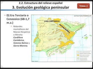 TEMA 2
– D) Era Terciaria o
Cenozoico (68-1,7
m.a.)
o Rebordes
montañosos del
Macizo Hespérico
o Meseta:
Cordillera
Cantábrica,
Sistema Ibérico y
Sierra Morena.
2.2. Estructura del relieve español
3. Evolución geológica peninsular
 