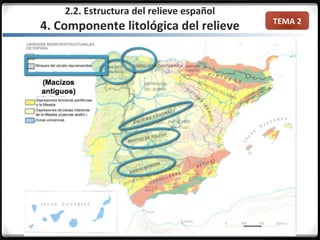 TEMA 2
2.2. Estructura del relieve español
4. Componente litológica del relieve
 