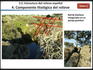 TEMA 2
2.2. Estructura del relieve español
4. Componente litológica del relieve
Red de diaclasas
ortogonales en un
paisaje granítico
 