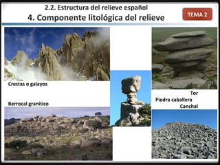 TEMA 2
2.2. Estructura del relieve español
4. Componente litológica del relieve
Crestas o galayos
Berrocal granítico
Tor
Piedra caballera
Canchal
 