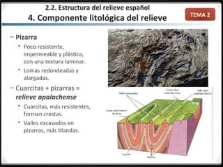 TEMA 2
2.2. Estructura del relieve español
4. Componente litológica del relieve
– Pizarra
 Poco resistente,
impermeable y plástica,
con una textura laminar.
 Lomas redondeadas y
alargadas.
– Cuarcitas + pizarras =
relieve apalachense
 Cuarcitas, más resistentes,
forman crestas.
 Valles excavados en
pizarras, más blandas.
 