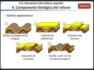 TEMA 2
2.2. Estructura del relieve español
4. Componente litológica del relieve
– Relieve apalachense
1 2 3
4 5
Relieve de plegamiento
antiguo
Cubierto de
sedimentos
Elevación por
fractura
Actuación de
la erosión
Vuelve a salir a la luz
el material original
 