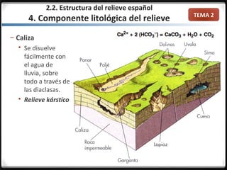 TEMA 2
2.2. Estructura del relieve español
4. Componente litológica del relieve
– Caliza
 Se disuelve
fácilmente con
el agua de
lluvia, sobre
todo a través de
las diaclasas.
 Relieve kárstico
 