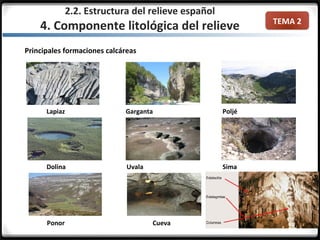 TEMA 2
Lapiaz Garganta Poljé
Dolina Uvala Sima
Ponor Cueva
Principales formaciones calcáreas
2.2. Estructura del relieve español
4. Componente litológica del relieve
 