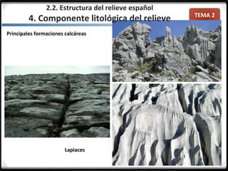 TEMA 2
Principales formaciones calcáreas
Lapiaces
2.2. Estructura del relieve español
4. Componente litológica del relieve
 