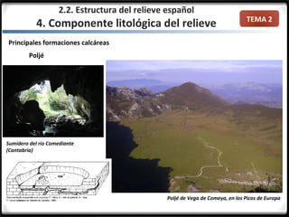 TEMA 2
Principales formaciones calcáreas
Poljé
Poljé de Vega de Comeya, en los Picos de Europa
2.2. Estructura del relieve español
4. Componente litológica del relieve
Sumidero del río Comediante
(Cantabria)
 