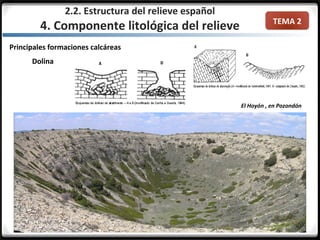TEMA 2
Principales formaciones calcáreas
Dolina
El Hoyón , en Pozondón
2.2. Estructura del relieve español
4. Componente litológica del relieve
 