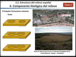 TEMA 2
Principales formaciones calcáreas
Úvala
2.2. Estructura del relieve español
4. Componente litológica del relieve
Úvala en Roturos de la Lora, en la Reserva Geológica de las
Loras (Palencia – Burgos – Cantabria)
 