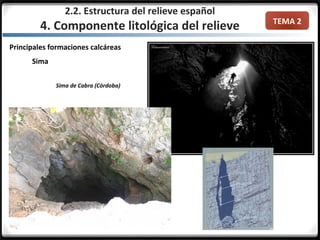 TEMA 2
Principales formaciones calcáreas
Sima
2.2. Estructura del relieve español
4. Componente litológica del relieve
Sima de Cabra (Córdoba)
 