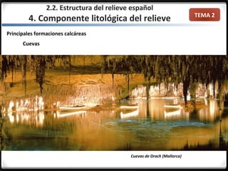 TEMA 2
Principales formaciones calcáreas
Cuevas
2.2. Estructura del relieve español
4. Componente litológica del relieve
Cuevas de Drach (Mallorca)
 