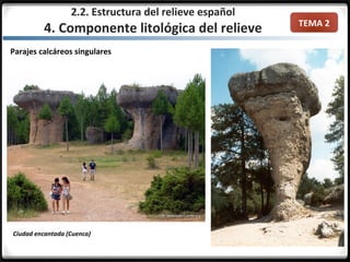 TEMA 2
Parajes calcáreos singulares
2.2. Estructura del relieve español
4. Componente litológica del relieve
Ciudad encantada (Cuenca)
 