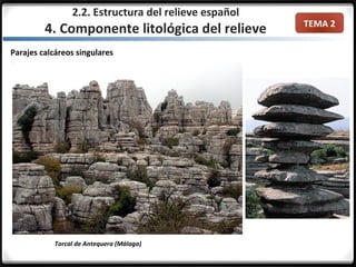 TEMA 2
Parajes calcáreos singulares
2.2. Estructura del relieve español
4. Componente litológica del relieve
Torcal de Antequera (Málaga)
 