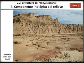TEMA 2
Bárdenas
reales (bad-
lands)
2.2. Estructura del relieve español
4. Componente litológica del relieve
 