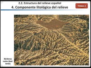 TEMA 2
Bárdenas
reales (bad-
lands)
2.2. Estructura del relieve español
4. Componente litológica del relieve
 