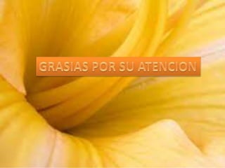 tema 2: El papel  de la Técnica en la conservación  y cuidado de la Naturaleza 