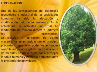 CONSERVACION
Una de las consecuencias del desarrollo
tecnológico e industrial de las sociedades
humanas ha sido la afectación y
modificación del medio ambiente. En la
actualidad, la actividad industrial ha
modificado de manera directa e indirecta
los
ecosistemas.
La elección y aplicación de dichos
mecanismos estan regidas por el principio
precautorio que ello podemos entender
como la adopción y aplicación de una serie
de medidas de preventivas par a proteger
la salud humana y el medio ambiente ante
la presencia de actividades

 