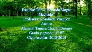 Escuela: TSE “Leonardo Vargas
Machado”
Profesora: Rosalinda Vázquez
Atenco
Alumna: Tamara Chacón Briones
Grado y grupo: “3° B”
Ciclo escolar: 2013-2014

 