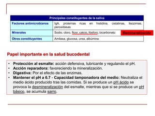 • Protección al esmalte: acción defensiva, lubricante y regulando el pH.
• Acción reparadora: favoreciendo la mineralización.
• Digestiva: Por el efecto de las enzimas.
• Mantener el pH a 6.7 - Capacidad tamponadora del medio: Neutraliza el
medio ácido producido tras las comidas. Si se produce un pH ácido se
provoca la desmineralización del esmalte, mientras que si se produce un pH
básico, se acumula sarro.
Principales constituyentes de la saliva
Factores antimicrobianos IgA, proteínas ricas en histidina, cistatinas, lisozimas,
peroxidasas
Minerales Sodio, cloro, flúor, calcio, fósforo, bicarbonato
Otros constituyentes Amilasa, glucosa, urea, albúmina
Papel importante en la salud bucodental
Remineralización
 