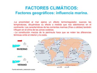 FACTORES CLIMÁTICOS:
Factores geográficos: influencia marina.
-La proximidad al mar ejerce un efecto termorregulador, suaviza las
temperaturas, diluyéndose su efecto a medida que nos adentramos en el
continente. Las características de las corrientes marinas (frías o cálidas) también
influyen en el clima de las zonas costeras.
- La constitución maciza de la península hace que se noten las diferencias
térmicas entre el interior y la costa.
INVIERNO
VERANO
Fuente:wikimedia y elaboración propia
Prof. Isaac Buzo Sánchez
 
